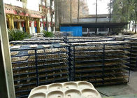 400 chiếc / H Hướng dẫn sử dụng khay trứng nhỏ linh hoạt Làm khô trong sân