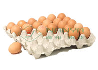 Dây chuyền sản xuất khay trứng 100kw