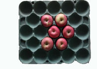 Giấy hình chữ nhật xuống cấp Bột giấy Sản phẩm đúc Khay trái cây với 20 khoang