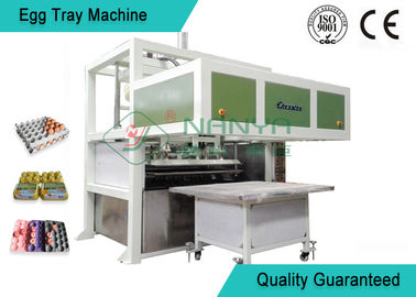 Máy tái chế bột giấy tái chế Dòng bán trứng tự động với máy sấy