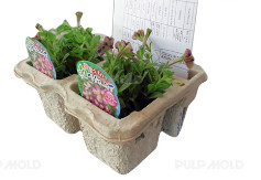 Dễ dàng vận hành Máy tạo hình hộp trứng / Bột giấy Đúc Dây chuyền sản xuất Khay trứng