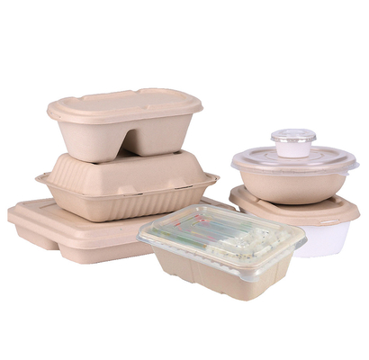 Máy hoàn toàn tự động Bagasse bột bàn trong bột gỗ