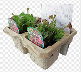 Tiết kiệm năng lượng ô tô giấy trứng khay / trứng hộp máy với 2000Pcs / H