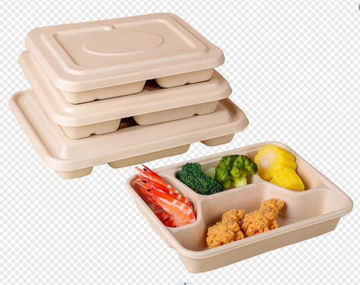 Máy hoàn toàn tự động Bagasse bột bàn trong bột gỗ