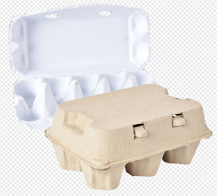 Máy làm khay trứng đúc bột giấy tự động ổn định 5000 chiếc / H