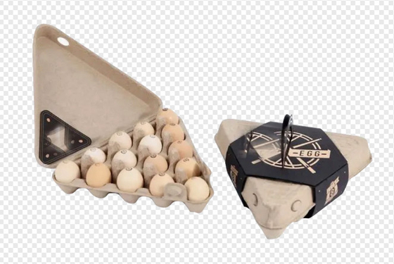 Tự động lặp lại khuôn giấy khay trái cây / Dây chuyền sản xuất khay trứng / 1000 chiếc / H