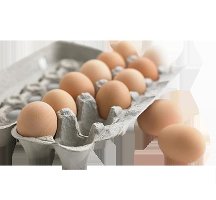 Máy nghiền giấy trứng hoàn toàn tự động bền với CE