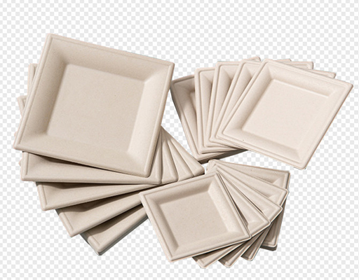 Máy đúc bột mía hoàn toàn tự động với công suất lớn 6000pcs/h