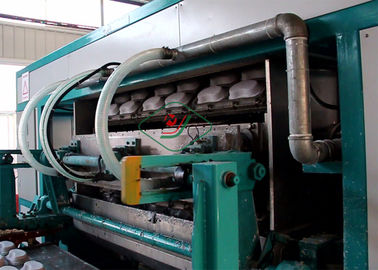 8 Khuôn mặt Thiết bị Đúc Bột giấy / Dây chuyền sản xuất Khay đựng Giấy