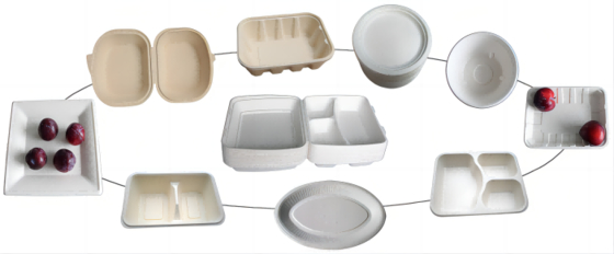 Thermoform Take Away Food Box Making Making Machine 7000 Cái / H