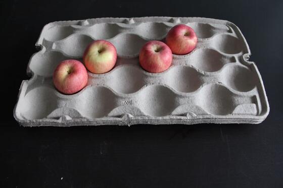 Công suất trung bình Tái chế giấy trứng làm máy với máy sấy