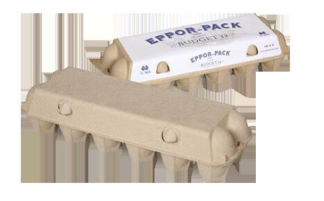 15 tấn hộp trứng / cốc - Máy đúc bột giấy