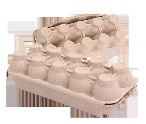 Khay quay trứng tự động Máy thải giấy Bột giấy Thiết bị đúc