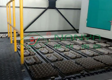 Máy làm khay đúc hoàn toàn tự động cho dây chuyền sản xuất khay trứng / hộp trứng / cốc gieo hạt