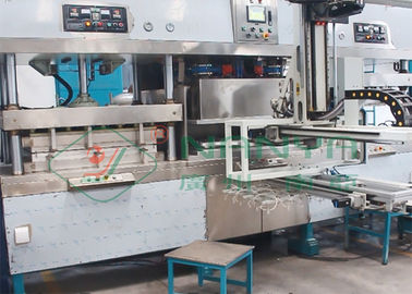 bột giấy Hộp cơm trưa Máy ép bát hình bầu dục với Robot tự động