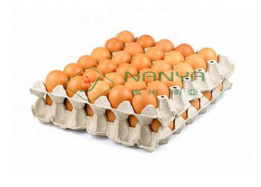 Máy nghiền trứng bột giấy tự động hoàn toàn với 4000 chiếc / H