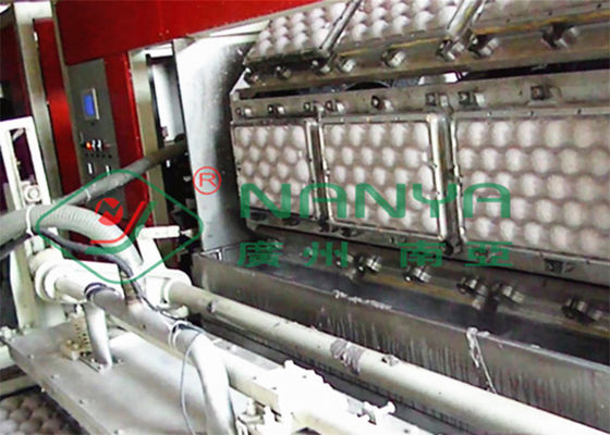 Khay đựng trái cây 250kw Khay làm máy hút chân không 600m2