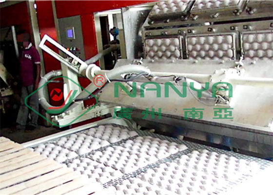 Máy cán trứng loại giấy cho khay trứng / hộp trứng / hộp trứng Dây chuyền sản xuất không khí nóng