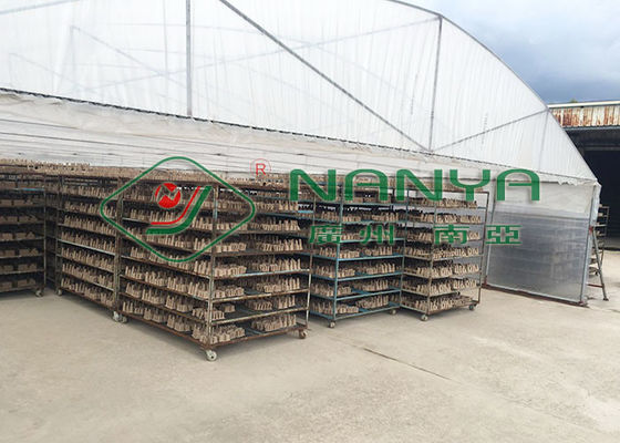 Máy nghiền bột giấy công suất cao, dây chuyền sản xuất bột giấy khay trứng 3000 chiếc / H