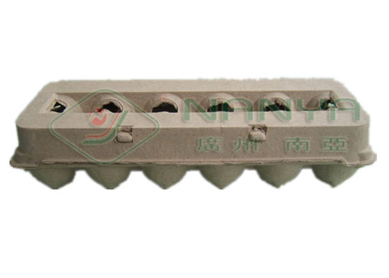 Auto Egg carton Máy Báo / Giấy trắng 1000 Cái / H