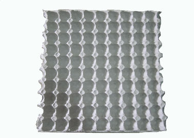 Máy đúc bột cho giấy trắng dùng một lần được đúc hộp trứng chim sẻ / khay trứng với 90 khoang