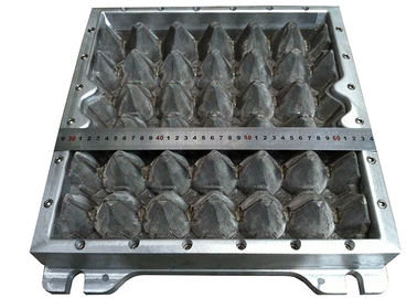 Nhựa 30 hốc trứng Khay giấy chết Hộp trứng Khuôn nhôm với CNC