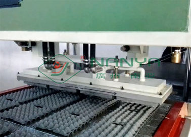 Pulp Mould Paper Paper Carton Machine, Dây chuyền sản xuất khay trứng tự động
