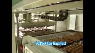 Máy ép bột giấy tự động nhỏ cho khay trứng / Máy khay trứng nhỏ / Máy khay trứng 30 gói