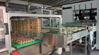 Máy làm thùng trứng hoàn toàn tự động/ Sản xuất hàng loạt Khay đựng trứng/ Máy làm thùng carton amchine