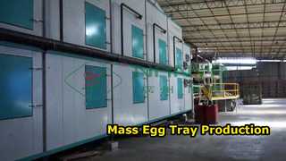 Máy làm khay trứng hoàn toàn tự động/ Sản xuất hàng loạt Khay đựng trứng/ Máy làm thùng carton amchine