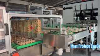 Máy làm thùng trứng hoàn toàn tự động/ Sản xuất hàng loạt Khay đựng trứng/ Máy làm thùng carton amchine