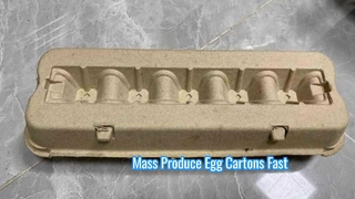 Máy đúc bột giấy hoàn toàn tự động cho thùng trứng/Máy làm thùng trứng